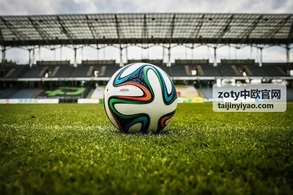 zoty中欧官网批次检验报告与放行资料核对