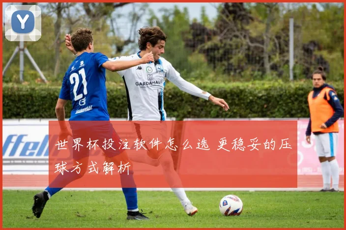 世界杯投注软件怎么选 更稳妥的压球方式解析
